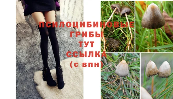 не бодяженный Горно-Алтайск