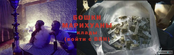 не бодяженный Горно-Алтайск