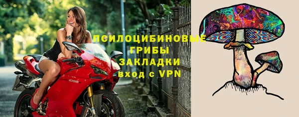 не бодяженный Горно-Алтайск