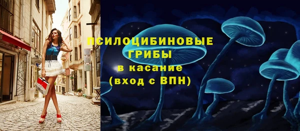 не бодяженный Горно-Алтайск