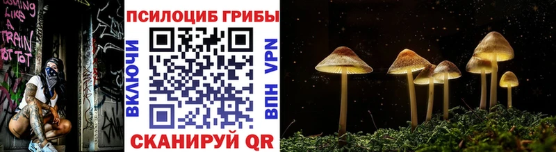 Купить закладки  Ликино-Дулёво  Псилоцибиновые грибы мухоморы 